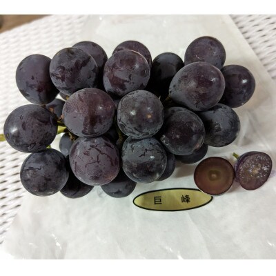 【毎週定期便】【種なし】巨峰2房+旬のぶどうの食べ比べ約2kgセット全4回