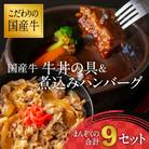 国産牛 牛丼の具&煮込みハンバーグ 満足の9個セット 011-D01