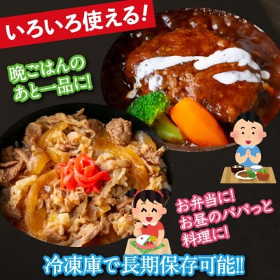 国産牛 牛丼の具&煮込みハンバーグ 満足の9個セット 011-D01