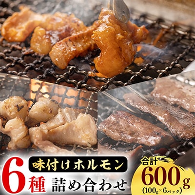 【小分けで鮮度抜群】特製タレでお店の味!国産牛ホルモン(塩・味噌)が100g×6パック!