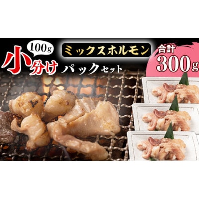 【3パックが丁度いい!】焼肉店でも人気の国産牛ホルモンMIXが100g×3パック!【家で焼肉店の味】