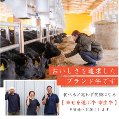 幸せを運ぶ牛《幸生牛》希少牛 ハンバーグ 150g×4個 008-D-YL056