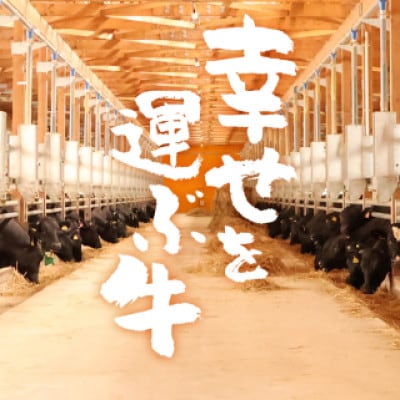 幸せを運ぶ牛《幸生牛》希少牛 ヒレステーキ 300g(150g×2枚) 031-D-YL039