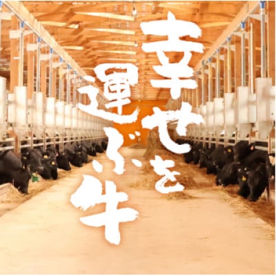 幸せを運ぶ牛《幸生牛》希少牛 焼肉 (モモ、肩、バラ おまかせ) 500g(500g×1パック)