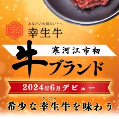 幸せを運ぶ牛《幸生牛》希少牛『ユッケ』 300g (50g×6個) タレ付き 024-D-YL043