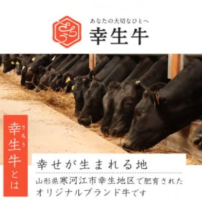 幸せを運ぶ牛《幸生牛》希少牛 ハンバーグ 2種とすき煮セット 合計6個(各種2個ずつ)