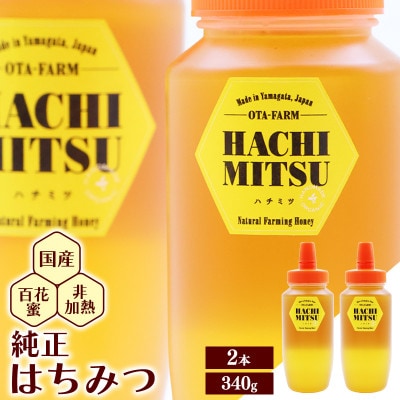 非加熱 はちみつ 340g×2本(OT002)