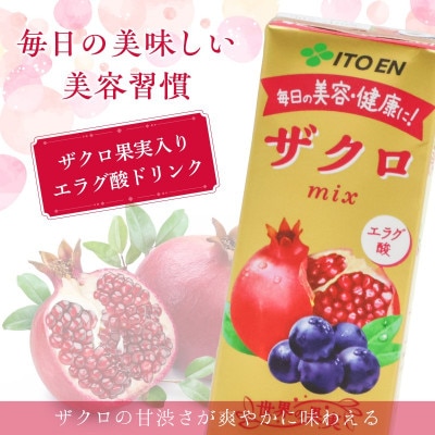 伊藤園 ザクロmix 紙パック 200ml×24本 IT009