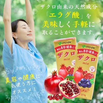 伊藤園 ザクロmix 紙パック 200ml×24本 IT009