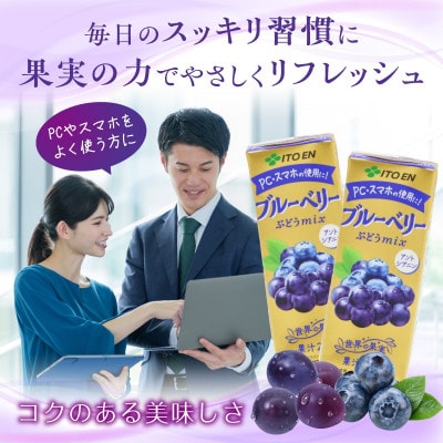 伊藤園 ブルーベリーぶどうmix 紙パック 200ml×24本 IT010
