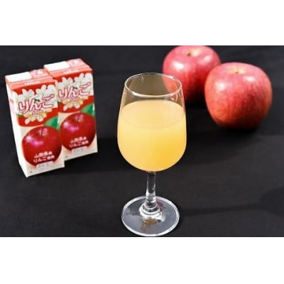 りんごジュース 濃縮還元果汁100% 紙パック 200ml×18本 山形県産 MB003