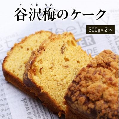 谷沢梅のケーク 2本セット ブールシャンティー BK025