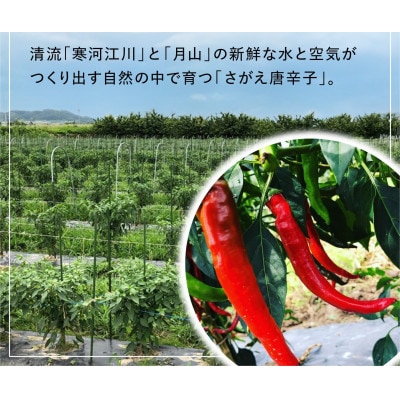 障がい者支援】「さがえ唐辛子(旨辛)」15g×1本 山形県産 BK027 | 山形