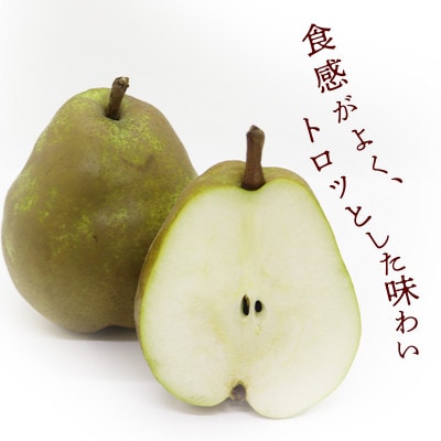 洋梨 ラ・フランス 3kg 秀品 サイズお任せ(2Lサイズ以上)(OT001)