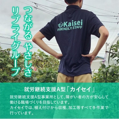 激辛 青唐辛子みそ 100g×1個 (BK029)