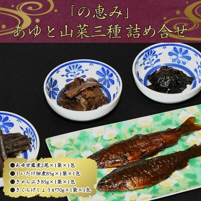 鮎と山菜三種佃煮 詰め合わせ 「の恵み」(あゆ甘露煮 しいたけ佃煮など) 010-G63
