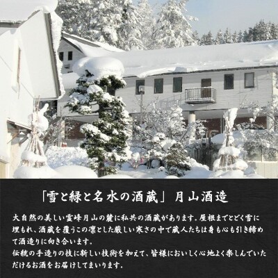 月山酒造 銀嶺月山 純米吟醸酒 ＜受賞酒飲み比べセット＞ 720ml×2本【支援品】　010-E19
