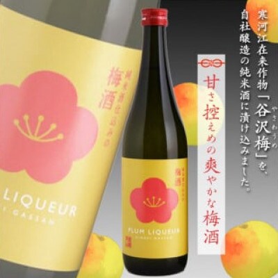 銀嶺月山 純米酒仕込みの梅酒(720ml×2本セット) 018-E-GS017