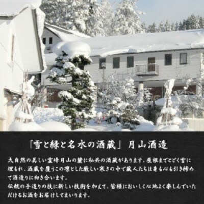 銀嶺月山 純米酒仕込みの梅酒(720ml×2本セット) 018-E-GS017