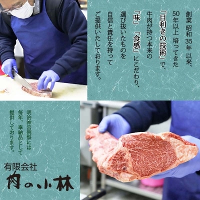 山形牛 A5ランク 赤身 和牛ステーキ ヒレ肉  150g×2枚 054-D02