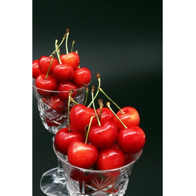 さくらんぼ 「紅秀峰」500g 秀品 L～2L【2025年6月中旬頃～7月上旬頃発送予定】山形県産