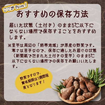 山形の伝統野菜 「子姫芋(里芋)」5kg 《土付き》　015-B13