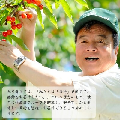 洋梨「追熟マルゲリット・マリーラ」 6kg(計10～18玉) 山形県産 2024年産　015-B09