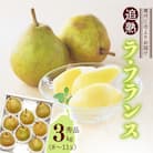 山形県産「追熟 ラ・フランス」3kg(8～11玉)【山形セレクション認定品】