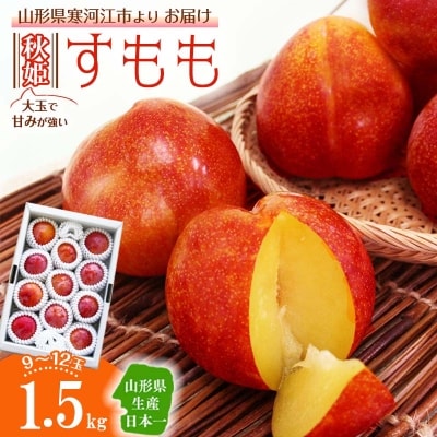 【令和5年産先行受付】大玉すもも「秋姫」1.5kg(9～12玉)山形県産2023年産 010-B30