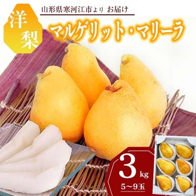 洋梨「追熟マルゲリット・マリーラ」3kg(5～9玉) 山形県産 2024年産 　010-B23