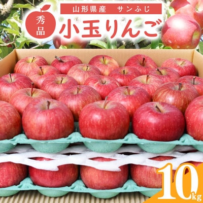 たっぷり10kg! りんご(サンふじ) 40～50玉 「秀品」 小玉サイズ