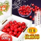 山形からお届け!特秀品 さくらんぼ 「佐藤錦」 500g Lサイズ 2026年産　015-A06