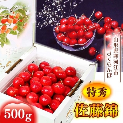 山形からお届け!特秀品 さくらんぼ 「佐藤錦」 500g Lサイズ 2025年産　015-A06