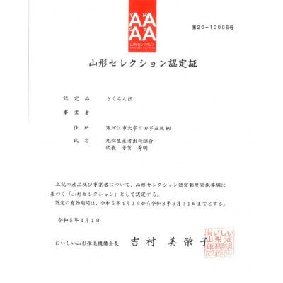 山形からお届け!特秀品 さくらんぼ 「佐藤錦」 500g Lサイズ 2025年産　015-A06