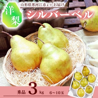 洋梨 「追熟 シルバーベル 」 3kg 秀品 (6～10玉) 2023年産 山形県産 010-B52