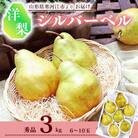 洋梨 「追熟 シルバーベル 」 3kg 秀品 (6～10玉) 2024年産 山形県産