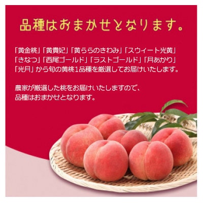 山形の黄桃 5kg(13～20玉) 品種おまかせ 秀品　2026年産
