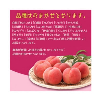 山形の白桃 1.4kg(4～6玉) 品種おまかせ 秀品　2026年産