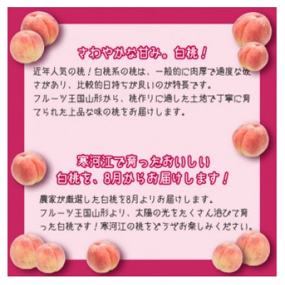 山形の白桃 5kg(13～20玉) 品種おまかせ 秀品【2024年7月下旬～9月下旬発送予定】
