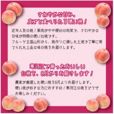 白桃《硬い桃》2kg(5～9玉) 品種おまかせ 秀品【2024年8月上旬～9月下旬発送予定】