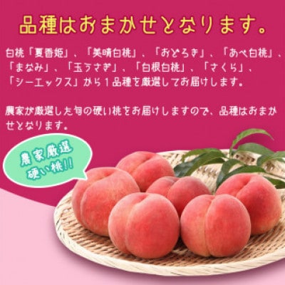 白桃《硬い桃》2kg(5～9玉) 品種おまかせ 秀品【2024年8月上旬～9月下旬発送予定】