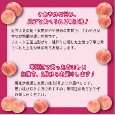 白桃《硬い桃》5kg(13～20玉) 品種おまかせ 秀品【2024年8月上旬～9月下旬発送予定】
