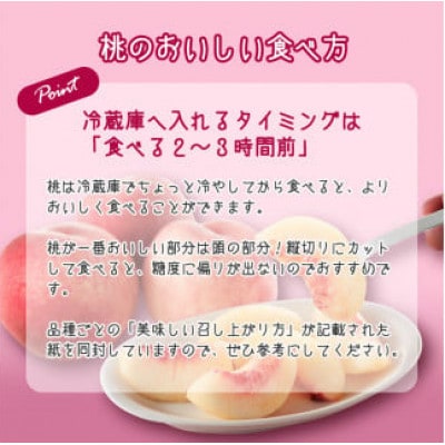 白桃《硬い桃》5kg(13～20玉) 品種おまかせ 秀品【2024年8月上旬～9月下旬発送予定】