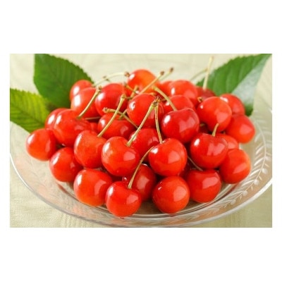 【先行受付】さくらんぼ「紅秀峰」1kg(500g×2)秀品【2025年6月上旬～7月上旬発送予定】