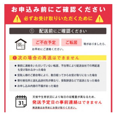 【先行受付】さくらんぼ「紅秀峰」1kg(500g×2)秀品【2025年6月上旬～7月上旬発送予定】