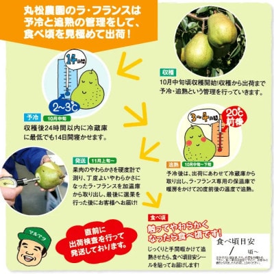 追熟ラ・フランス 3.2kg 桐箱詰