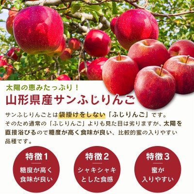 サンふじりんご　ラ・フランス詰合せ　3kg