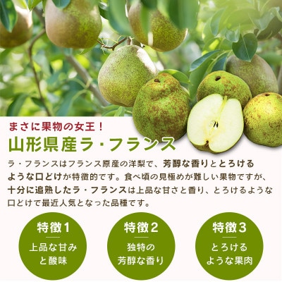 サンふじりんご　ラ・フランス詰合せ　3kg