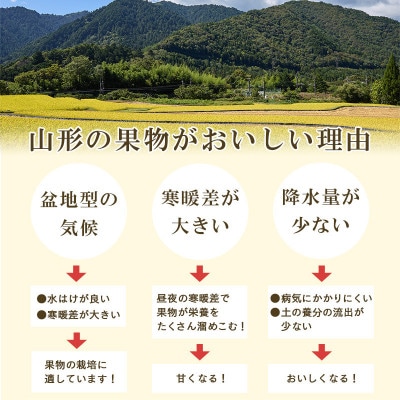 サンふじりんご　ラ・フランス詰合せ　3kg