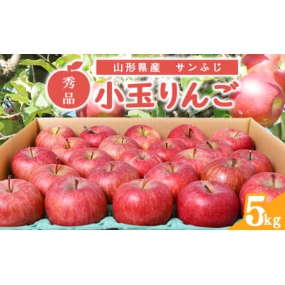 小玉りんご「サンふじ」秀品 5kg (20～25玉)